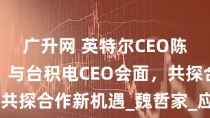 广升网 英特尔CEO陈立武透露：与台积电CEO会面，共探合作新机遇_魏哲家_应占_双方