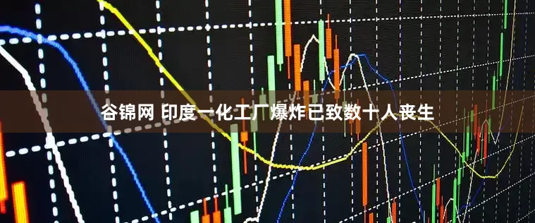 谷锦网 印度一化工厂爆炸已致数十人丧生