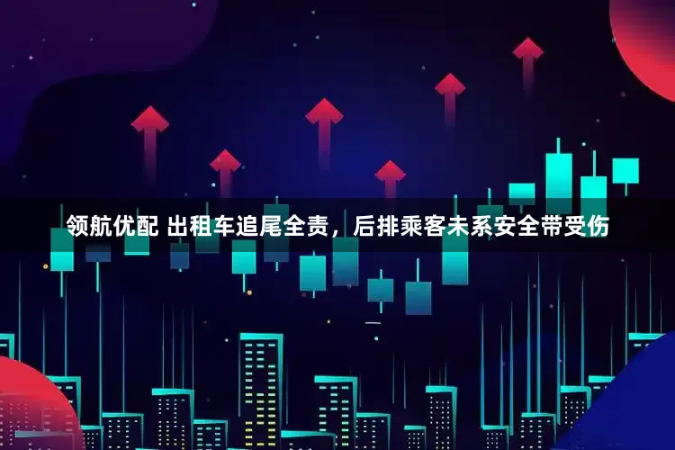 领航优配 出租车追尾全责，后排乘客未系安全带受伤
