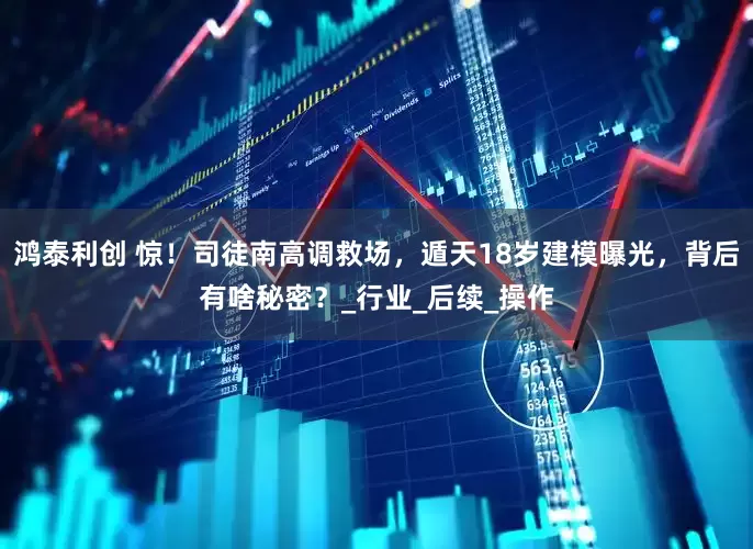鸿泰利创 惊！司徒南高调救场，遁天18岁建模曝光，背后有啥秘密？_行业_后续_操作