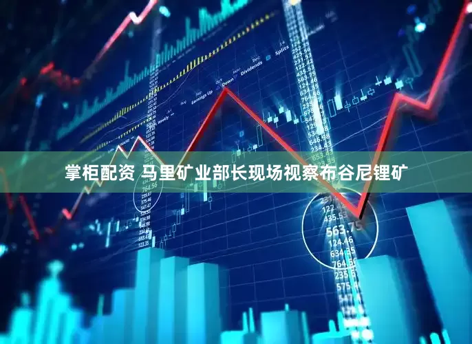 掌柜配资 马里矿业部长现场视察布谷尼锂矿