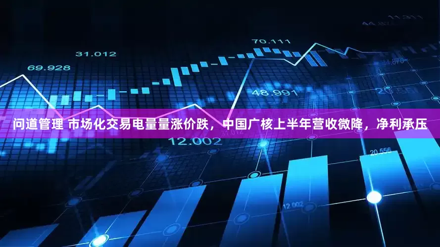 问道管理 市场化交易电量量涨价跌，中国广核上半年营收微降，净利承压