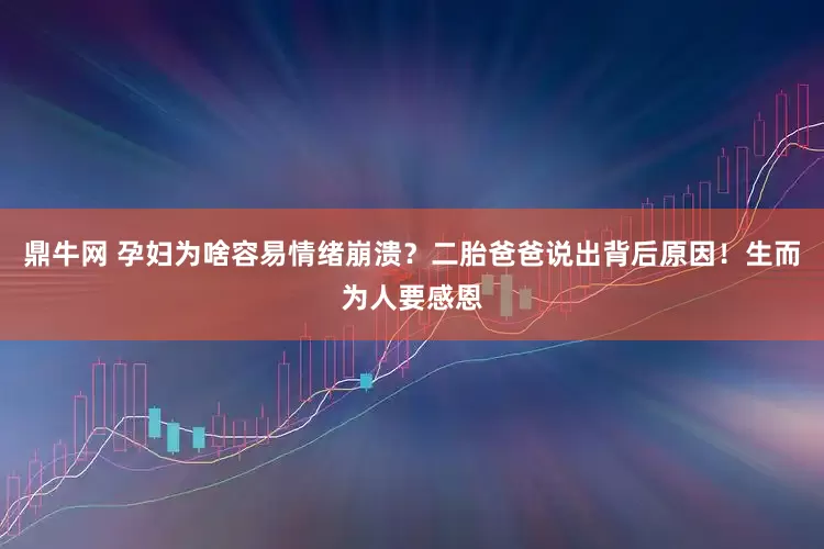 鼎牛网 孕妇为啥容易情绪崩溃？二胎爸爸说出背后原因！生而为人要感恩