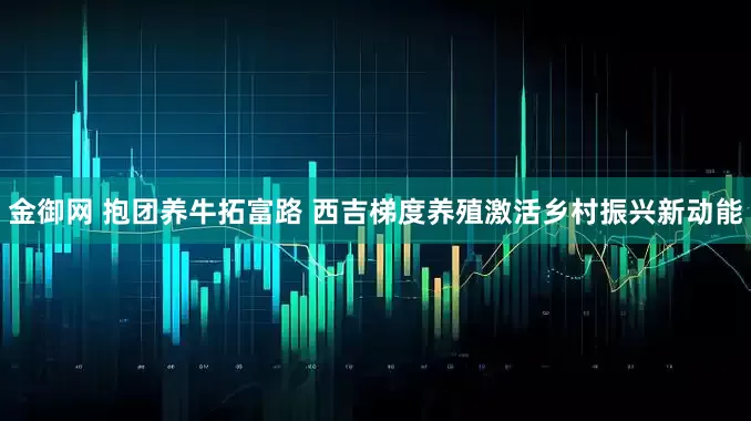 金御网 抱团养牛拓富路 西吉梯度养殖激活乡村振兴新动能